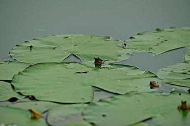 T组总监：如果你是《黑色行动2》粉丝 你肯定会非常享受《黑色行动7》